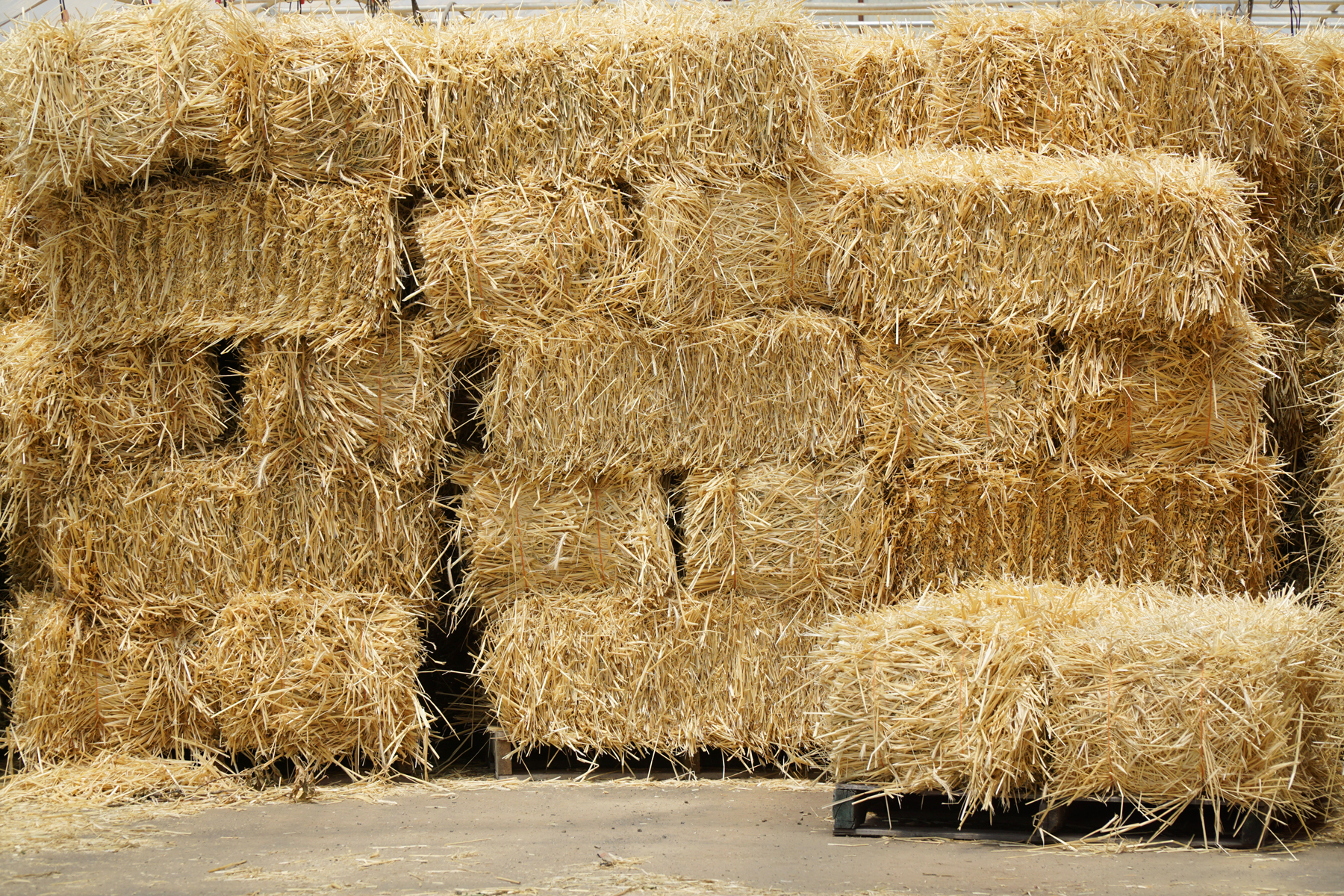 Straw and Cob House Building – Mother Earth News