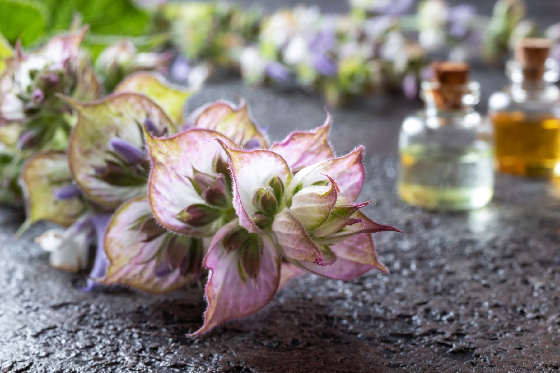 How To Make Perfume from Flowers and Herbs from Your Garden – Mother Earth News