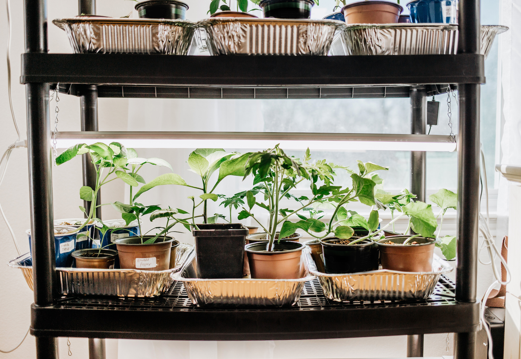 Build A Grow Light Setup For Seedlings – Mother Earth News